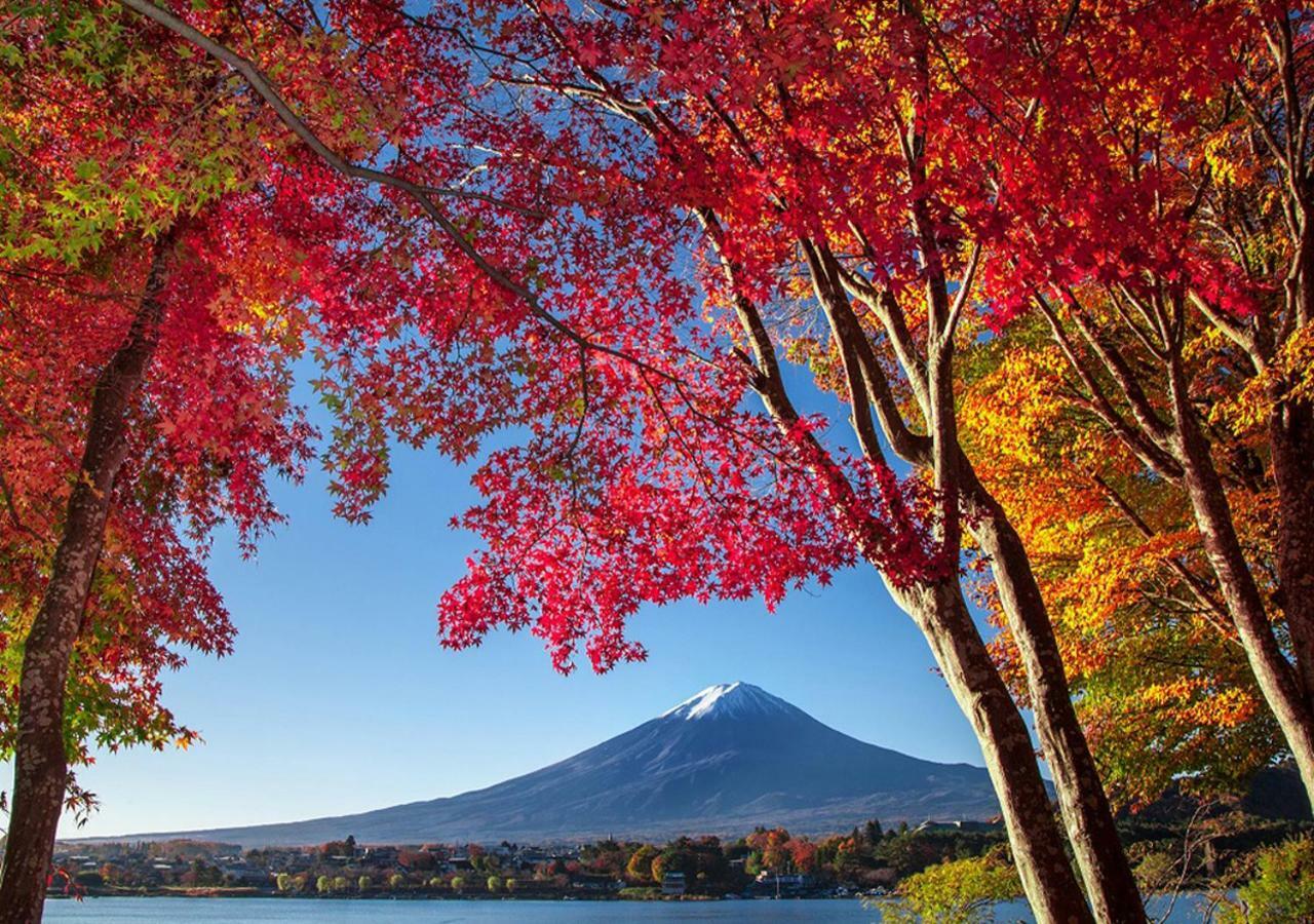 富士山金魚 Fujisan Kingyo Villa Fujikawaguchiko Ngoại thất bức ảnh